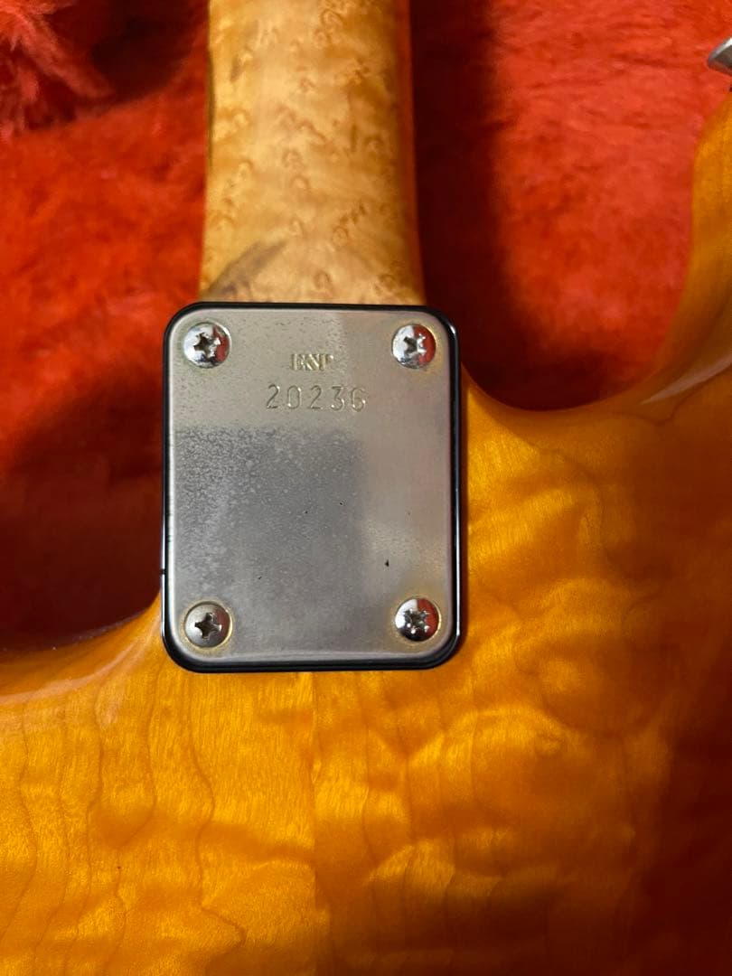 ESP customストラトタイプ