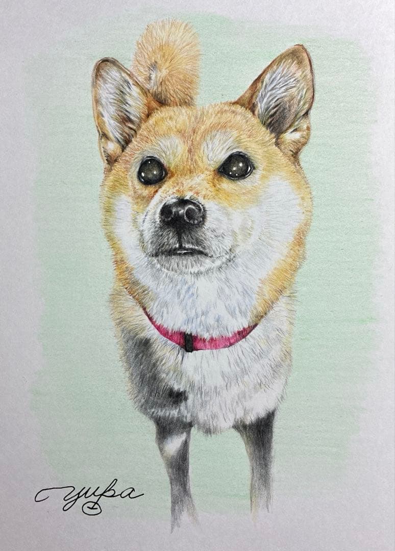 オーダー画　今週セール！！