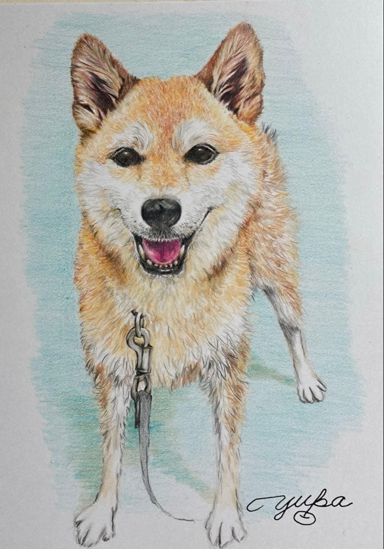 オーダー画　今週セール！！