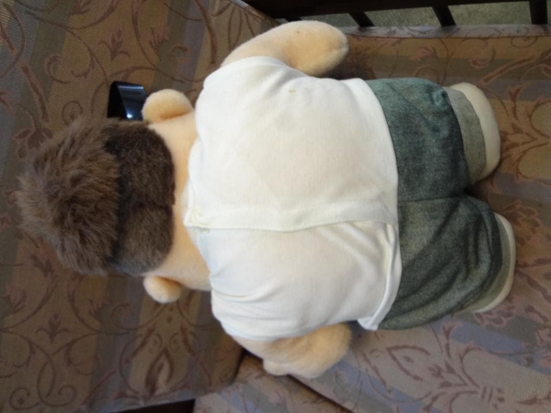 G．TOKORO　所ジョージのキャラクターぬいぐるみ・本３冊セット