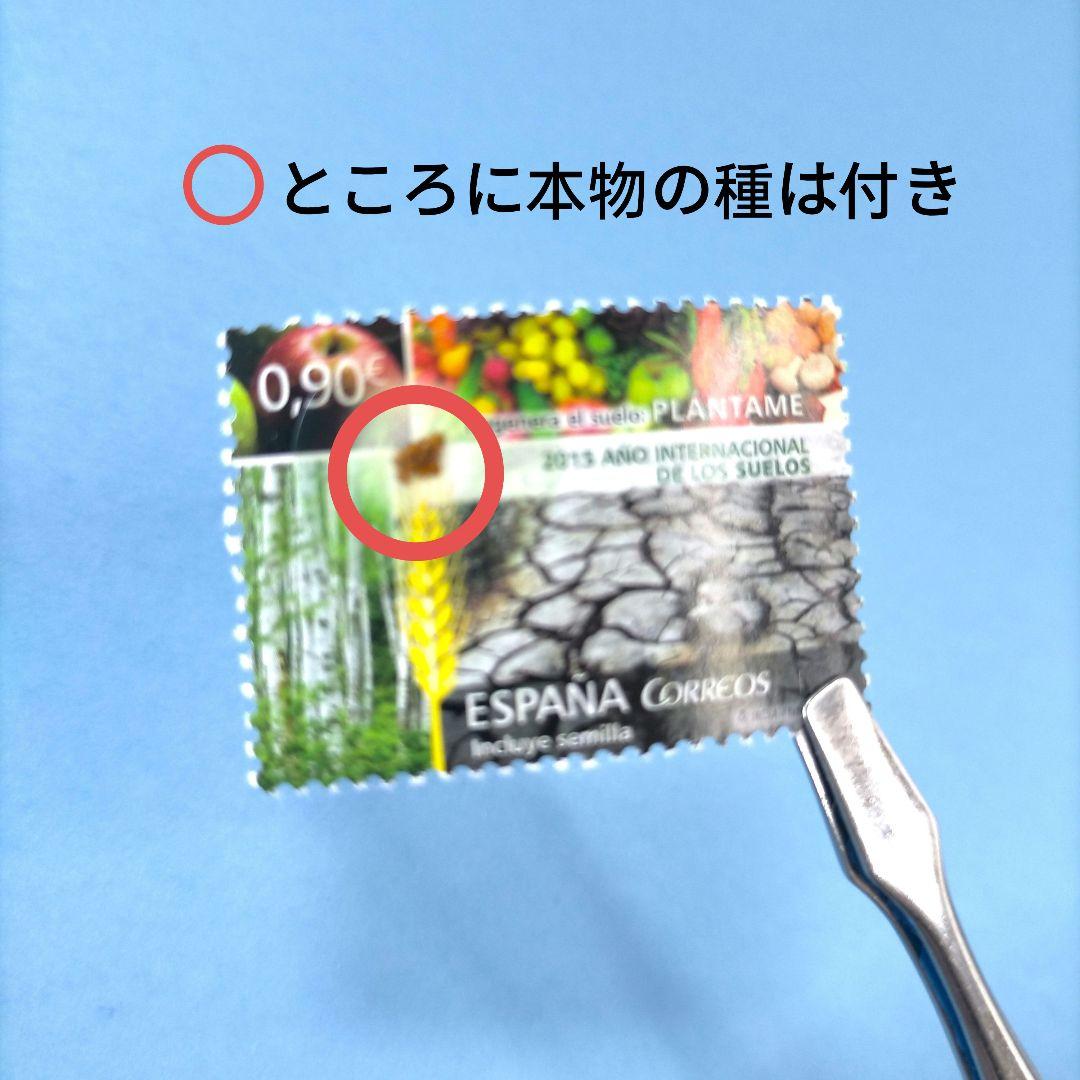 2692 外国切手 スペイン 2015年 国際土壌年 本物の種切手に付き